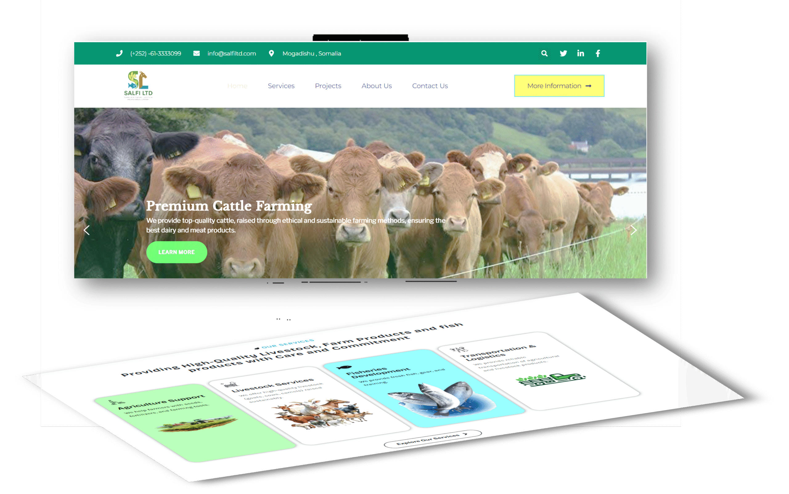 SALFI LTD COMPANY– Branding, Web Design & Development